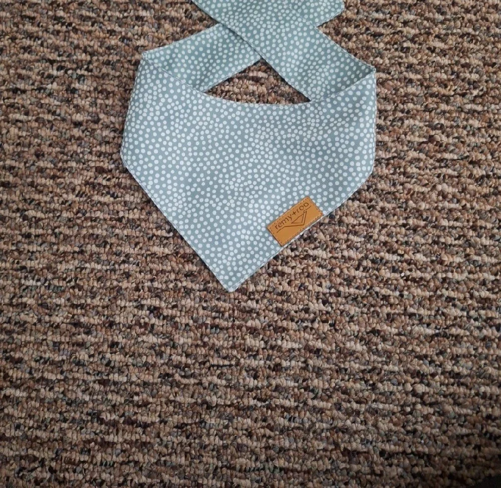 Remy + Roo SMALL Dog Bandana